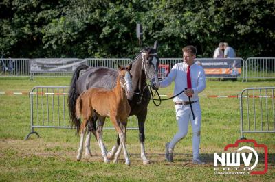 Fokdag en Concours Landgoed Zwaluwenburg 't Harde. - © NWVFoto.nl