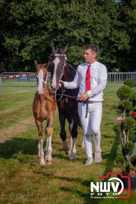 Fokdag en Concours Landgoed Zwaluwenburg 't Harde. - © NWVFoto.nl