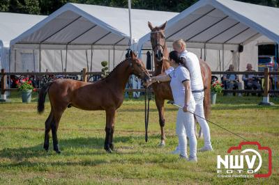 Fokdag en Concours Landgoed Zwaluwenburg 't Harde. - © NWVFoto.nl