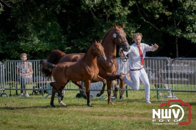 Fokdag en Concours Landgoed Zwaluwenburg 't Harde. - © NWVFoto.nl