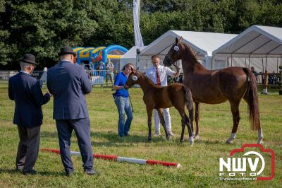 Fokdag en Concours Landgoed Zwaluwenburg 't Harde. - © NWVFoto.nl