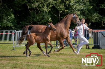 Fokdag en Concours Landgoed Zwaluwenburg 't Harde. - © NWVFoto.nl