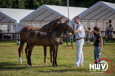 Fokdag en Concours Landgoed Zwaluwenburg 't Harde. - © NWVFoto.nl