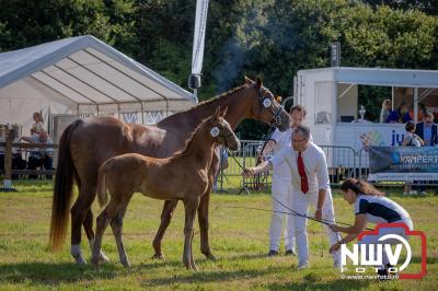 Fokdag en Concours Landgoed Zwaluwenburg 't Harde. - © NWVFoto.nl