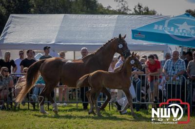 Fokdag en Concours Landgoed Zwaluwenburg 't Harde. - © NWVFoto.nl