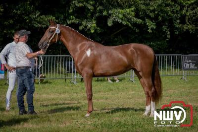 Fokdag en Concours Landgoed Zwaluwenburg 't Harde. - © NWVFoto.nl