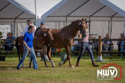 Fokdag en Concours Landgoed Zwaluwenburg 't Harde. - © NWVFoto.nl