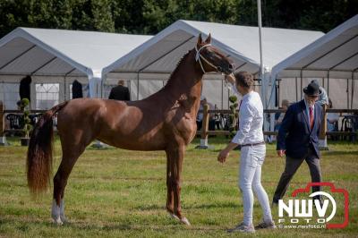 Fokdag en Concours Landgoed Zwaluwenburg 't Harde. - © NWVFoto.nl