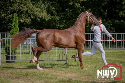 Fokdag en Concours Landgoed Zwaluwenburg 't Harde. - © NWVFoto.nl