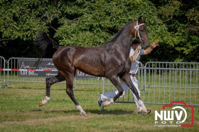 Fokdag en Concours Landgoed Zwaluwenburg 't Harde. - © NWVFoto.nl