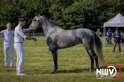 Fokdag en Concours Landgoed Zwaluwenburg 't Harde. - © NWVFoto.nl