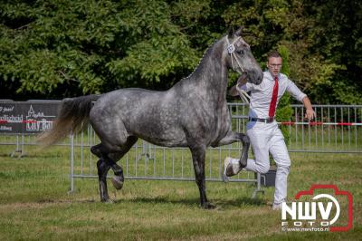 Fokdag en Concours Landgoed Zwaluwenburg 't Harde. - © NWVFoto.nl