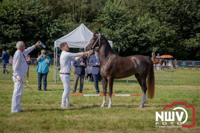 Fokdag en Concours Landgoed Zwaluwenburg 't Harde. - © NWVFoto.nl