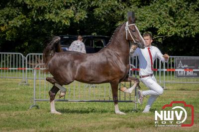 Fokdag en Concours Landgoed Zwaluwenburg 't Harde. - © NWVFoto.nl