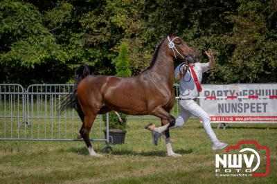 Fokdag en Concours Landgoed Zwaluwenburg 't Harde. - © NWVFoto.nl