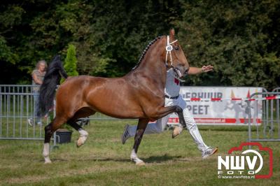 Fokdag en Concours Landgoed Zwaluwenburg 't Harde. - © NWVFoto.nl