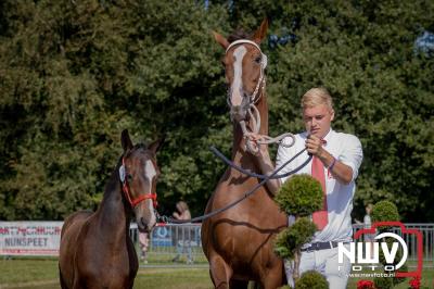 Fokdag en Concours Landgoed Zwaluwenburg 't Harde. - © NWVFoto.nl