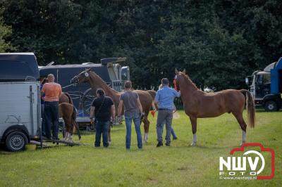 Fokdag en Concours Landgoed Zwaluwenburg 't Harde. - © NWVFoto.nl