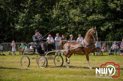 Fokdag en Concours Landgoed Zwaluwenburg 't Harde. - © NWVFoto.nl