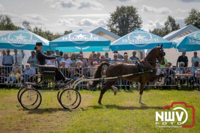 Fokdag en Concours Landgoed Zwaluwenburg 't Harde. - © NWVFoto.nl