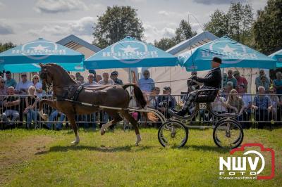 Fokdag en Concours Landgoed Zwaluwenburg 't Harde. - © NWVFoto.nl