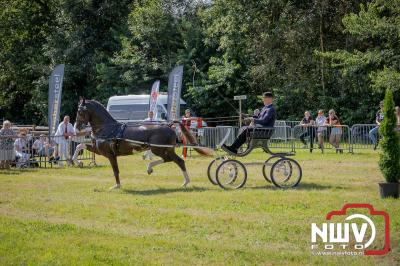 Fokdag en Concours Landgoed Zwaluwenburg 't Harde. - © NWVFoto.nl