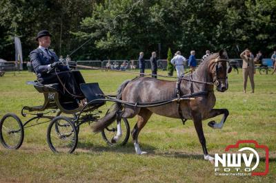 Fokdag en Concours Landgoed Zwaluwenburg 't Harde. - © NWVFoto.nl