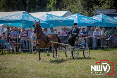 Fokdag en Concours Landgoed Zwaluwenburg 't Harde. - © NWVFoto.nl