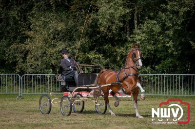 Fokdag en Concours Landgoed Zwaluwenburg 't Harde. - © NWVFoto.nl