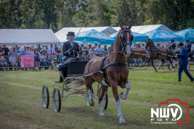 Fokdag en Concours Landgoed Zwaluwenburg 't Harde. - © NWVFoto.nl