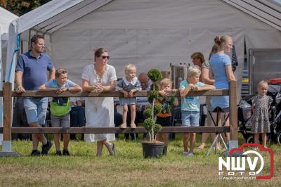 Fokdag en Concours Landgoed Zwaluwenburg 't Harde. - © NWVFoto.nl