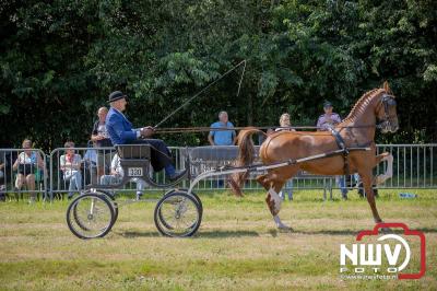 Fokdag en Concours Landgoed Zwaluwenburg 't Harde. - © NWVFoto.nl