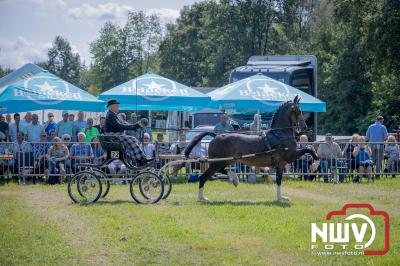 Fokdag en Concours Landgoed Zwaluwenburg 't Harde. - © NWVFoto.nl