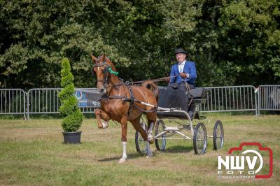 Fokdag en Concours Landgoed Zwaluwenburg 't Harde. - © NWVFoto.nl