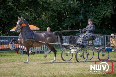 Fokdag en Concours Landgoed Zwaluwenburg 't Harde. - © NWVFoto.nl