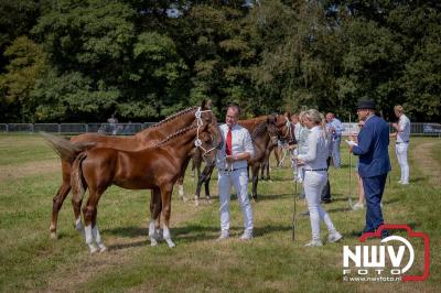 Fokdag en Concours Landgoed Zwaluwenburg 't Harde. - © NWVFoto.nl