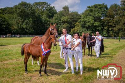 Fokdag en Concours Landgoed Zwaluwenburg 't Harde. - © NWVFoto.nl