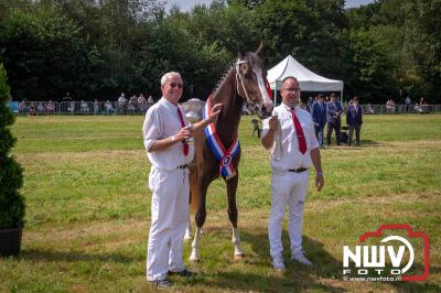 Fokdag en Concours Landgoed Zwaluwenburg 't Harde. - © NWVFoto.nl