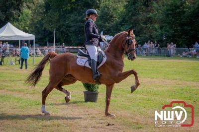 Fokdag en Concours Landgoed Zwaluwenburg 't Harde. - © NWVFoto.nl