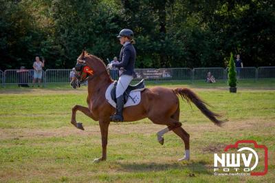 Fokdag en Concours Landgoed Zwaluwenburg 't Harde. - © NWVFoto.nl