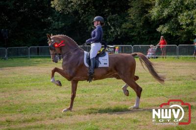 Fokdag en Concours Landgoed Zwaluwenburg 't Harde. - © NWVFoto.nl