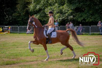 Fokdag en Concours Landgoed Zwaluwenburg 't Harde. - © NWVFoto.nl