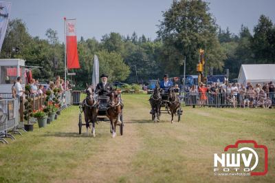 Fokdag en Concours Landgoed Zwaluwenburg 't Harde. - © NWVFoto.nl