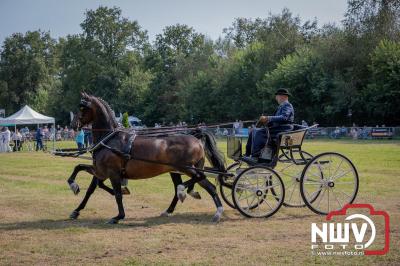 Fokdag en Concours Landgoed Zwaluwenburg 't Harde. - © NWVFoto.nl