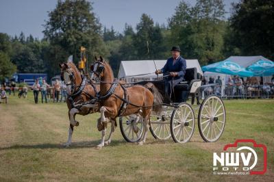 Fokdag en Concours Landgoed Zwaluwenburg 't Harde. - © NWVFoto.nl