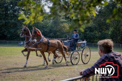 Fokdag en Concours Landgoed Zwaluwenburg 't Harde. - © NWVFoto.nl