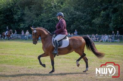 Fokdag en Concours Landgoed Zwaluwenburg 't Harde. - © NWVFoto.nl