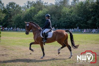 Fokdag en Concours Landgoed Zwaluwenburg 't Harde. - © NWVFoto.nl