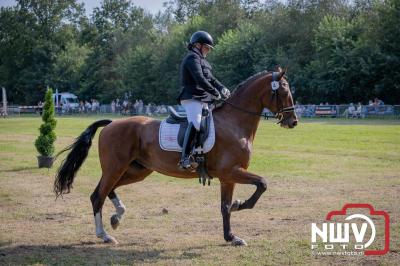 Fokdag en Concours Landgoed Zwaluwenburg 't Harde. - © NWVFoto.nl