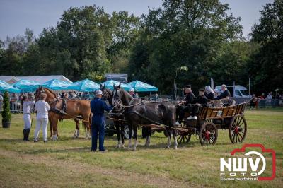 Fokdag en Concours Landgoed Zwaluwenburg 't Harde. - © NWVFoto.nl